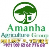 Amanha Agriculture Group 